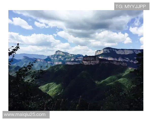 深度对话排球女将王娜探寻她的运动人生与梦想之路