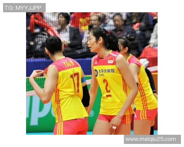 英超排球巨献揭秘南京排球队实力与发展潜力全景分析 英超排球巨献揭秘南京排球队实力与发展潜力全景分析