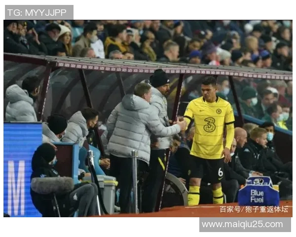 英超羽毛球评论分析深圳羽毛球队快攻策略的成败与启示