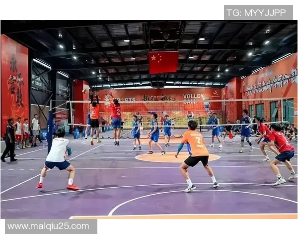 体育实时数据成都排球队的拼搏与荣耀：一段排球崛起的真实纪实之旅