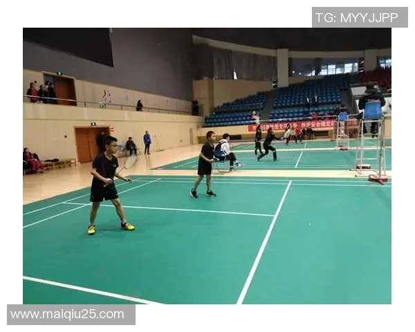 武汉羽毛球队实力深度解析与各队对比分析实时数据 武汉羽毛球队实力深度解析与各队对比分析实时数据