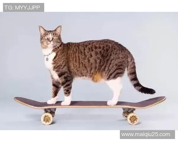 西安滑板队力量表现数据分析揭示运动员潜力与训练效果实时数据 西安滑板队力量表现数据分析揭示运动员潜力与训练效果实时数据