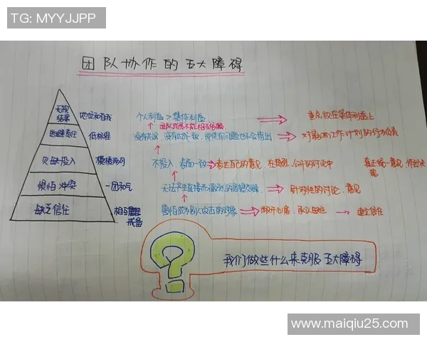 运动数据南京羽毛球队团队协作表现的数据分析与提升策略探讨
